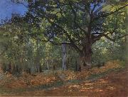 Claude Monet The Bodmer Oak,Forest of Fontainebleau Spain oil painting reproduction